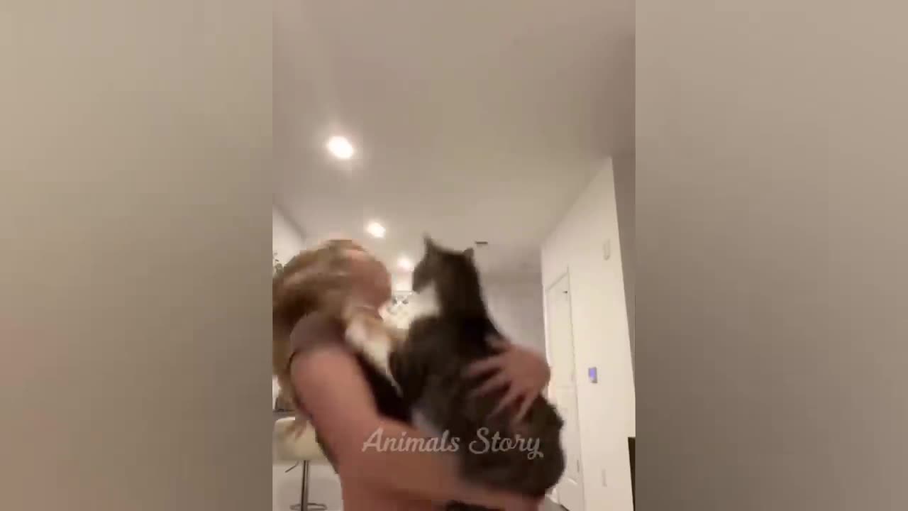 Dogs and Cats React to Magic Tricks: Mind-Blown Pets