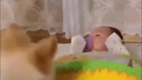 Smart Dog