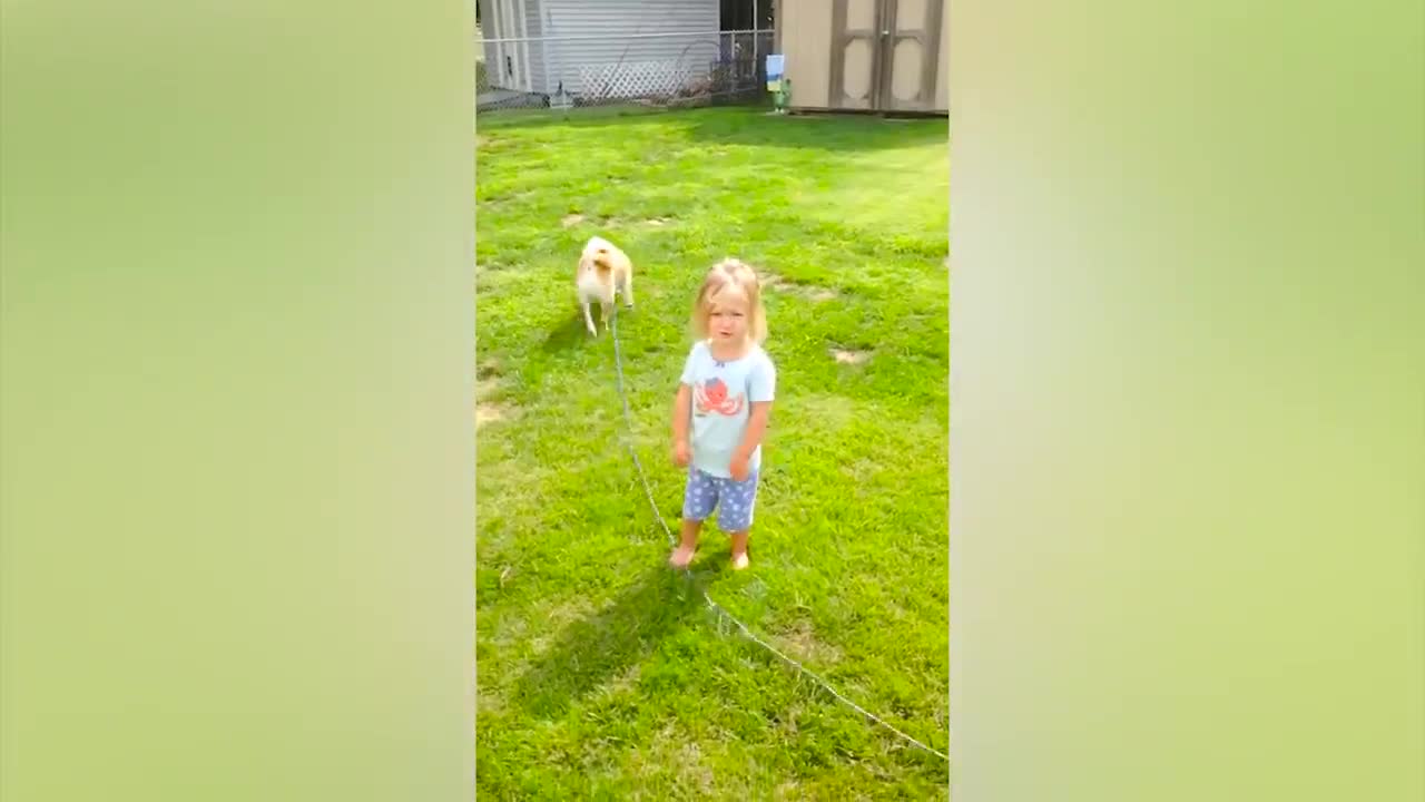 Baby and Pets