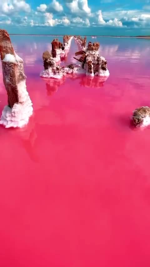 Pink lake