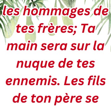 "Juda, le lion de la tribu: Promesse de Royauté et de Puissance" Genèse 49; 8,9#shorts #youtubeshort