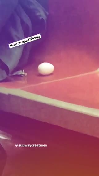 Guy drops egg on subway train seat, sits next to rolling egg