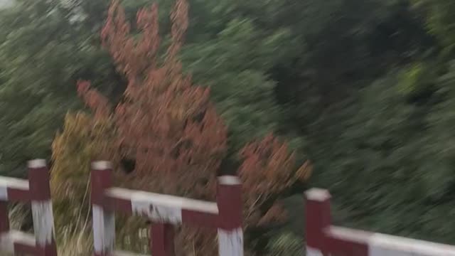 Bike ride in Nainital..... beautiful hill station
