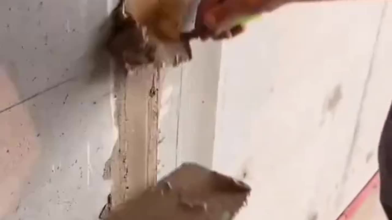these people are skillful