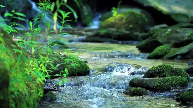 Relaxing Music with Nature Sounds - Waterfall And Birds Sounds HD