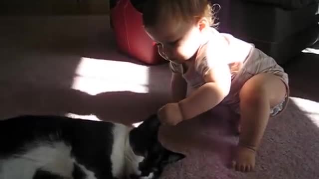 Cute Baby and Cats doing fun together haha Funny vedio...