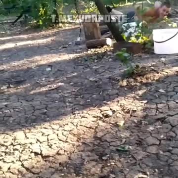 Ukrajinská armáda v první linii jako na pikniku - pivko a kebab