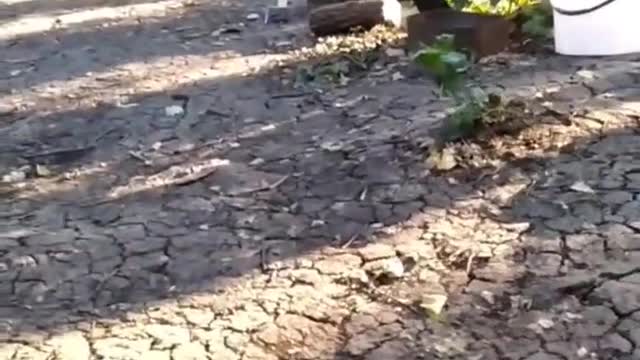 Ukrajinská armáda v první linii jako na pikniku - pivko a kebab