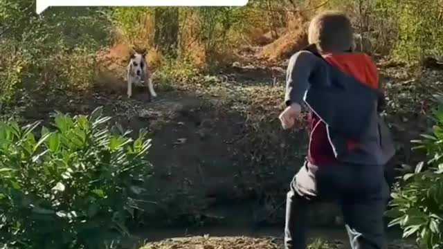 Dog and kid funny Video 🤣🤣🤣