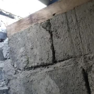 Are these bees dangerous?