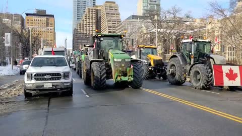 Toronto police are a little overwhelmed by Farmers for Freedom