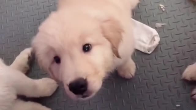 Usually a troublemaker, a good baby when feeding