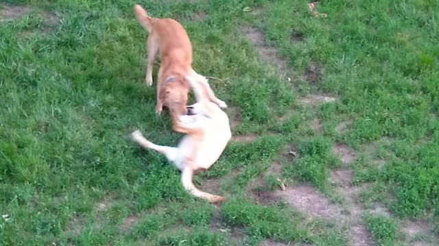 Henry and Brita Play 1