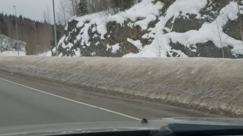 Alaska Police Try to Move Moose off Interstate