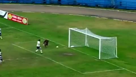 football shithousery - Funniest own goal I’ve ever seen