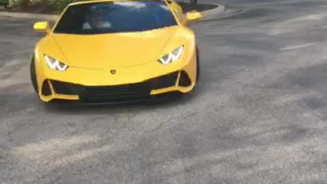 Sarasota Lambo