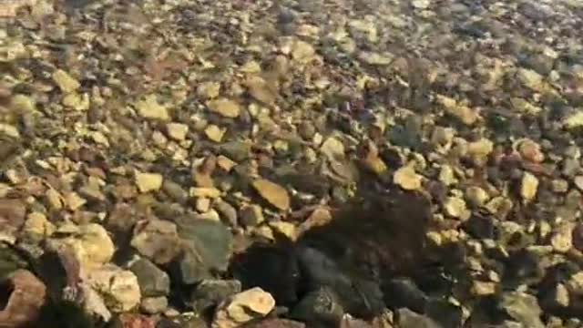WHAT BEAUTY, WATER IS CLEAR, SUPER, BEAUTIFUL