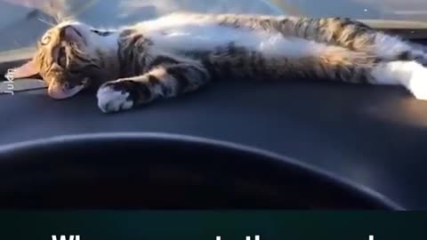 When you are in the car and you're just daydreaming about life...