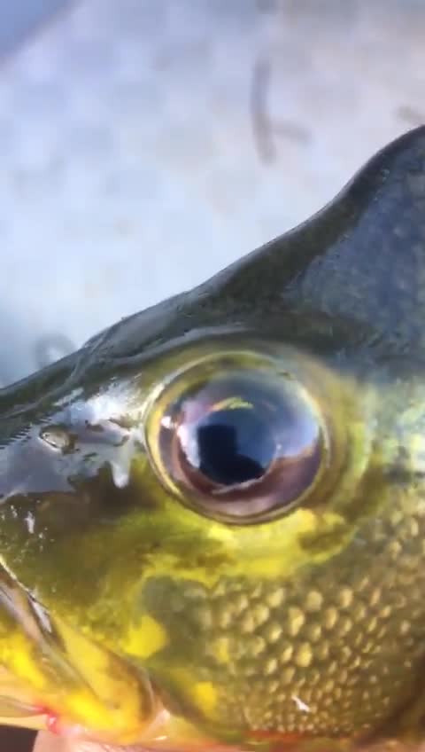 O QUE ESTÁ ACONTECENDO?