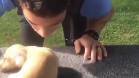 This puppy`s happiness is worth to watch ! His reaction will melt your heart