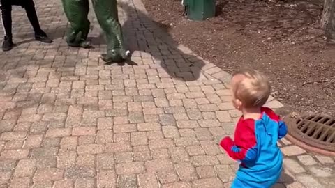 DINOSAUR FUNNY VIDEOS