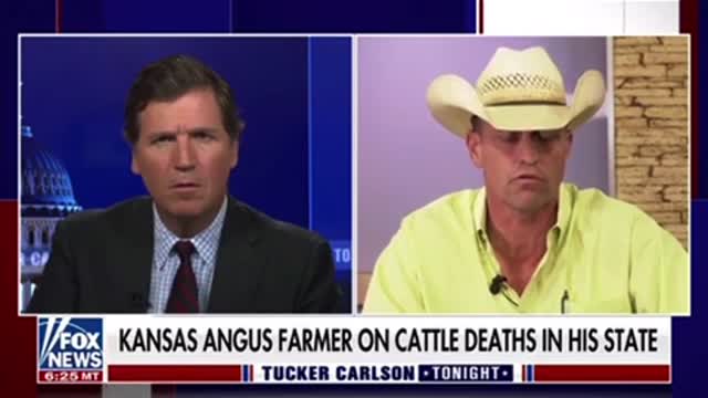 Tucker Carlson: 10,000 Cattle Mysteriously Drop Dead in Kansas— 06.16.2022