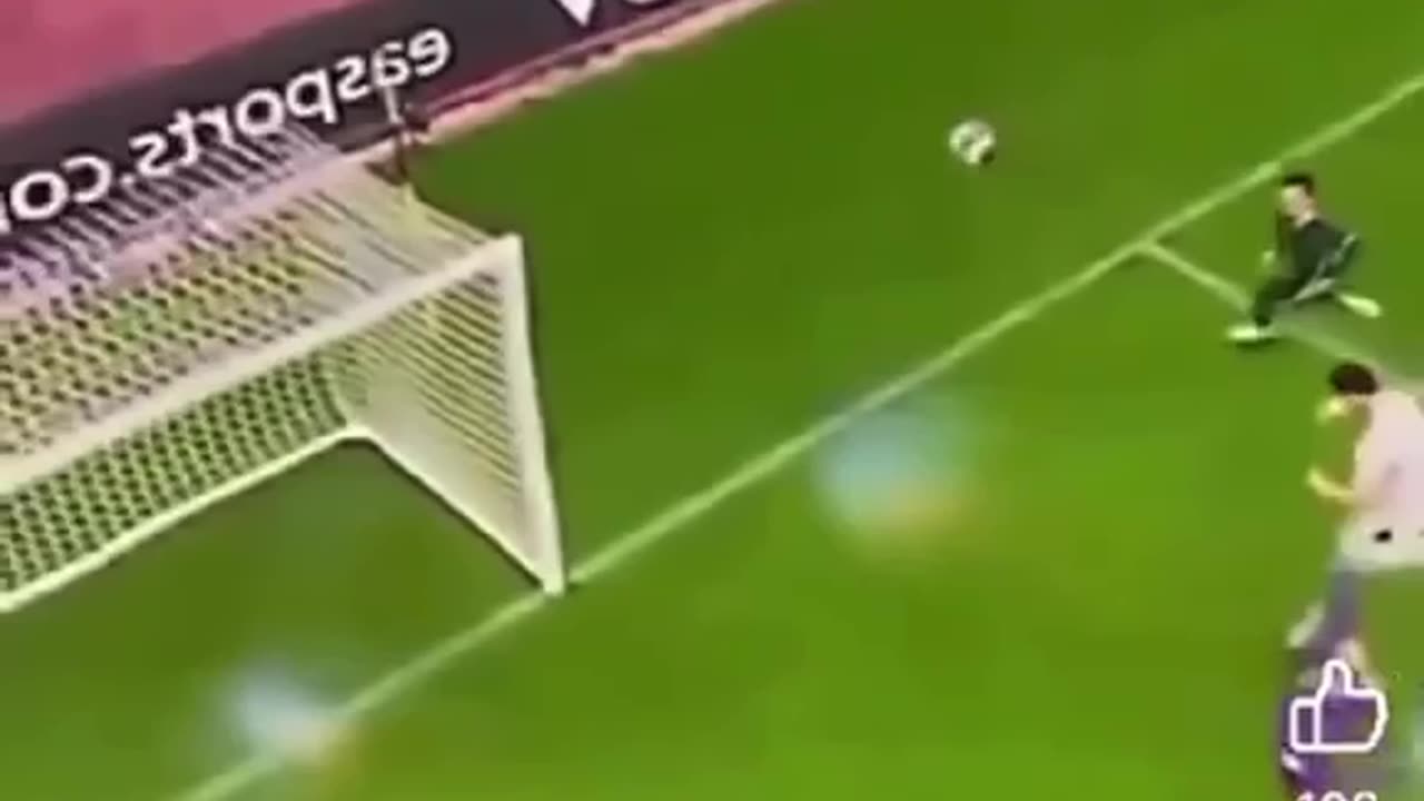 funny video