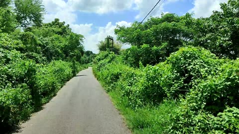 Travel in nature