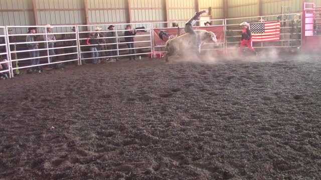 Luck of the Draw Bull Riding 21 Nov 2020 Stylish Acres