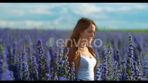 Walk in a Field blue flower garden