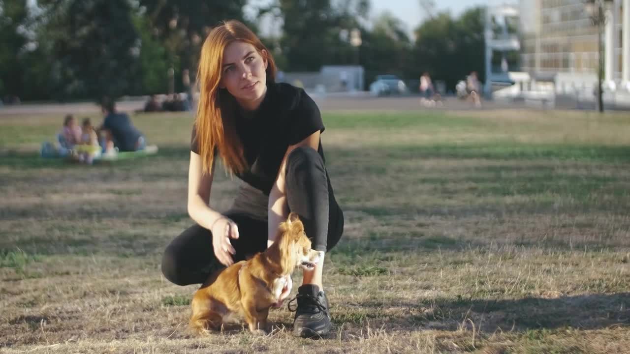 Young beautiful woman in the park with her funny long-haired chihuahua dog