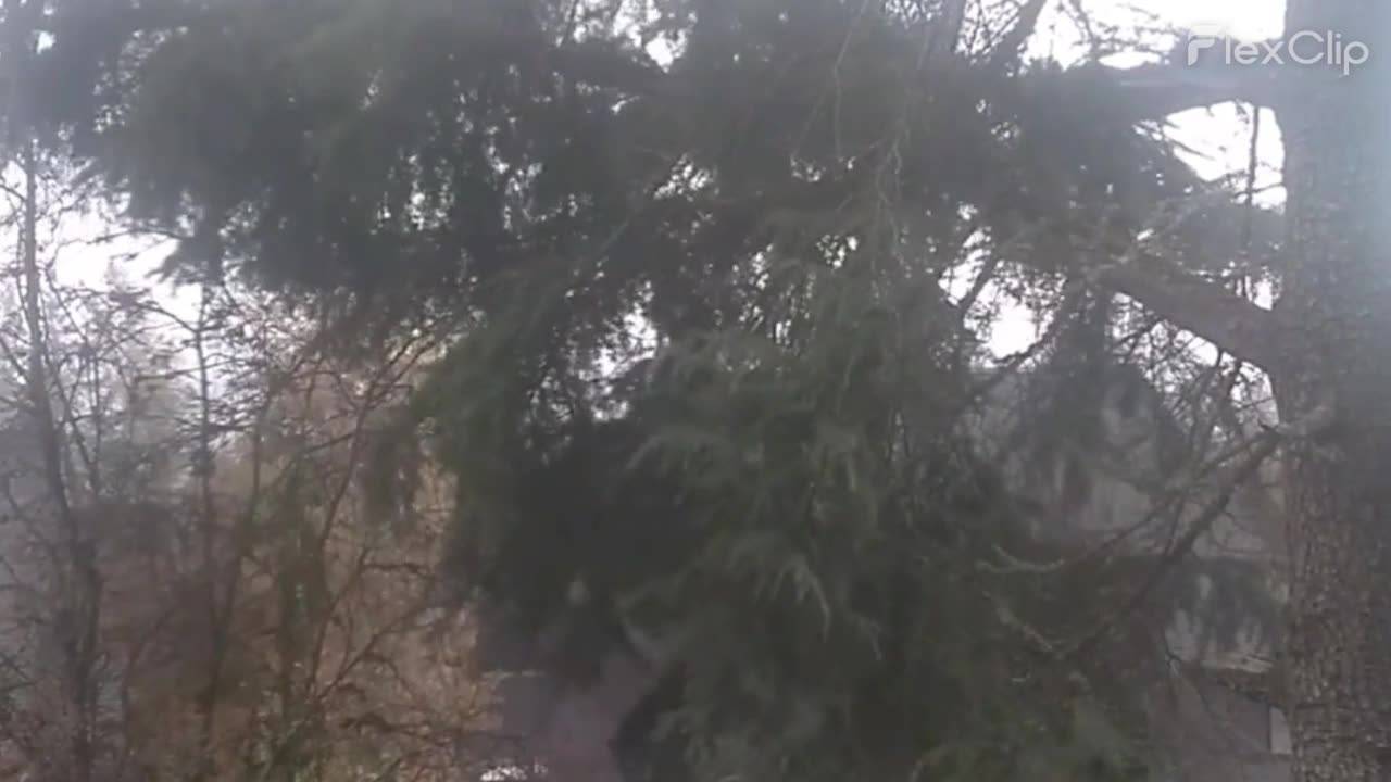 This Kind of Wind and Rain Would be Fun to Walk in