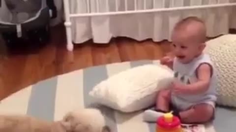 dogs and babiess