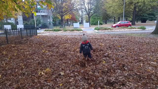 Crunching crunching.. Fallen leaves..