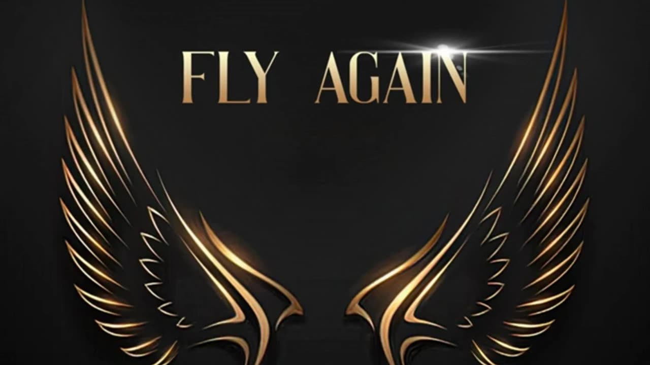 HCR / Perfectly Human - Fly again.