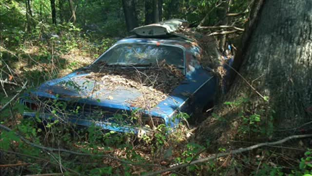 CLASSIC JUNKYARD YARD ART