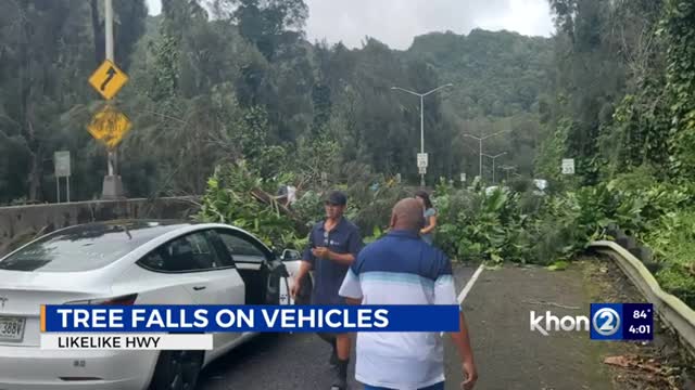 Downed tree onto car closes lanes on Likelike Highway