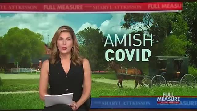 Amish COVID