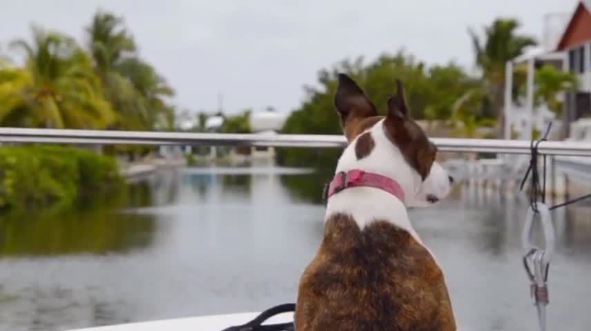 passing by boat.