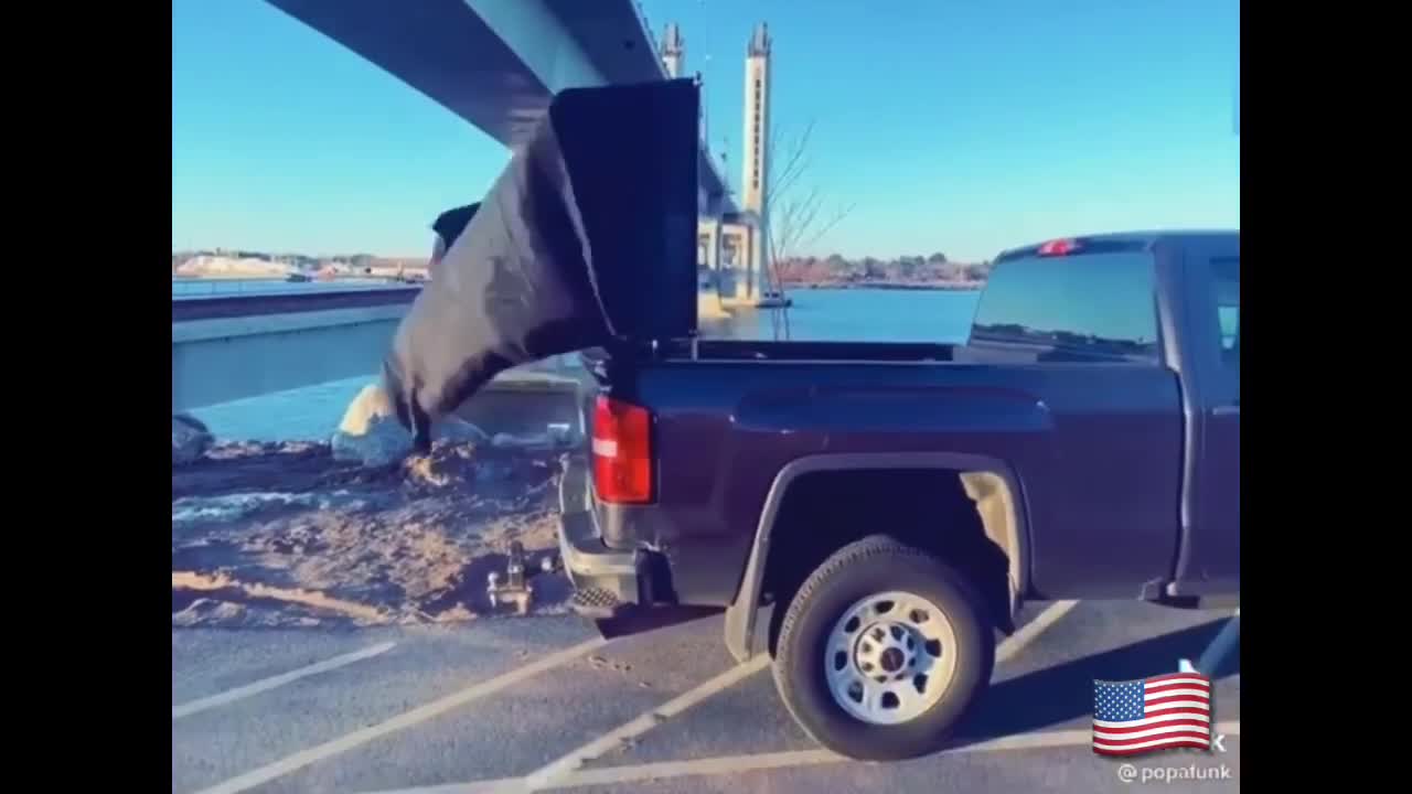 Patriots Poem 2nd Amendment