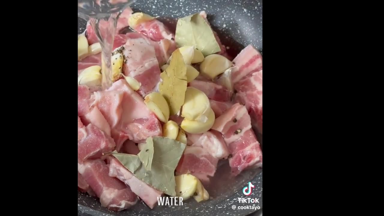 Filipino Cuisine (TikTok) : Cook Adobo Sa Asin (Filipino Food HD Edit)