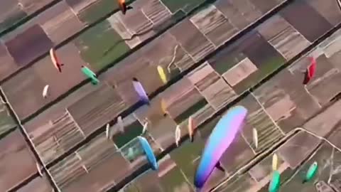 parachute color