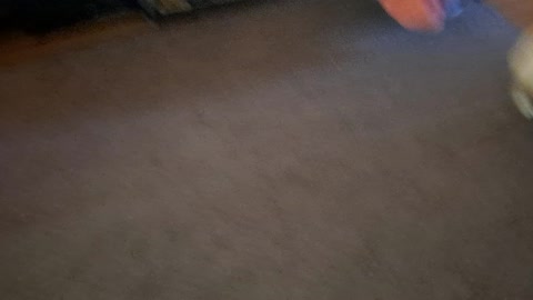 Corgi shakedown