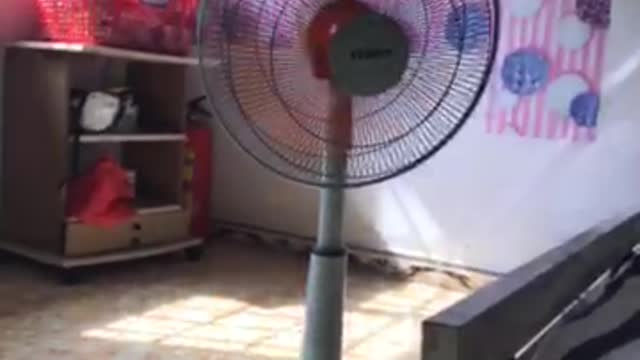 electric fan