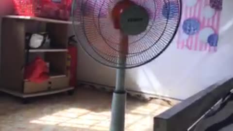 electric fan