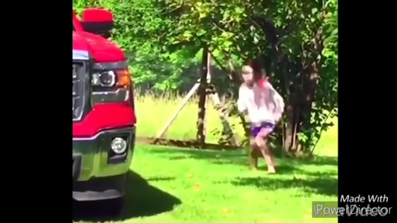 funny animals chasing kids