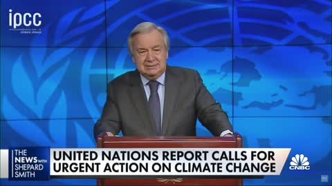 U.N. report calls for immediate action on climate change