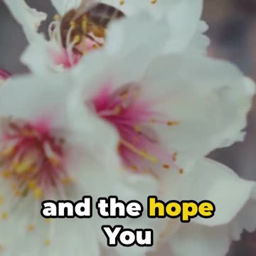 Gratitude for Spring's Beauty