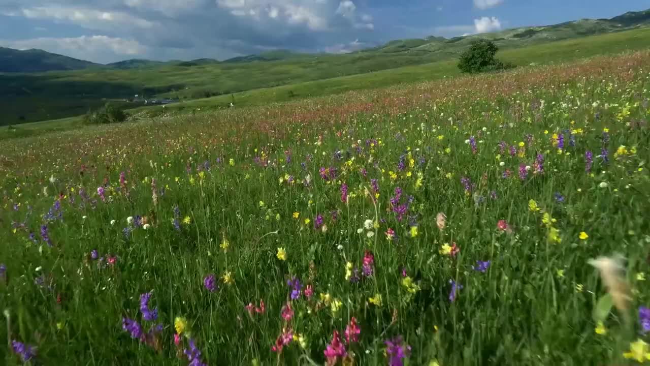 [1 Hour Relax Video] Beautiful Relaxing Music for Stress Relief • Meditation, Sleep & Relaxation