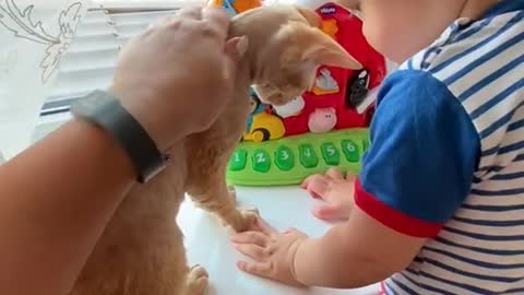 Incredible bond between baby boy and cat share there love for eachother.